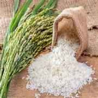 3 river basmati
