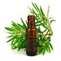 ALL NATURALS TEA TREE OIL