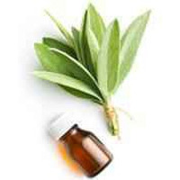ALL NATURAL SAGE OIL