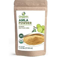 ORGANIC SPICE AMLA POWDER