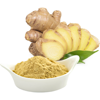 LAL TADKA GINGER POWDER