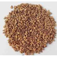 LAL TADKA SESAME SEED BROWN