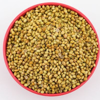 SHUDH CORIANDER SEED