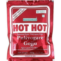 Iyengar Hot Chetni Pudi Spiced Powder - 200 Gm (7.05 Oz)