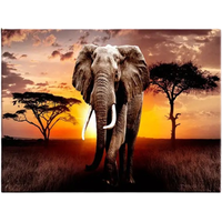 Canvas Painting With Frame - 16in x 12in