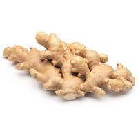 Fresh Organic Ginger - 1 Lb (453 Gm)