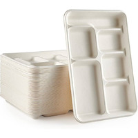 Plastic 6 Compartments Rectangular Plates - 25 Ct