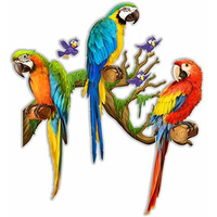 CVANU Beautiful Blue and Yellow Macoaw Parrot Wall Sticker PVC Vinyl for Home Decor Size(77.5CM X 70CM) Multicolor