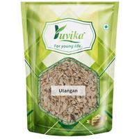 YUVIKA Beej Utangan - Utangan Beej - Blepharis Edulis Pers (50 Grams)