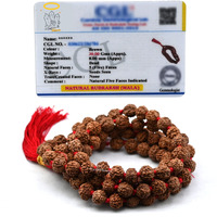 Crystal Heaven Rudraksha Mala For Men, Colourless 108 Beads Original Panchmukhi Rudraksha Japa Mala Ganthi - AAA Grade 5 Mukhi Rudraksha Mala For Protection, Meditation And Yoga