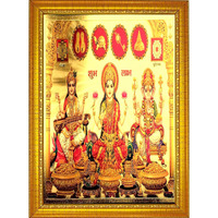 ADA Handicraft Aluminum Plated Wood Photo Frame (35 x 25 x 1 cm, Multicolour)