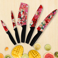 Voltonix Kitchen Knife Set Dishwasher Safe, Sharp Stainless Steel Knife Set, Kitchen Knives Sets Professional with Sheaths 5 Piece Rainbow Non Stick(Indian-Red Spice)