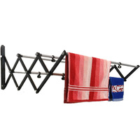 DRY LINE Stainless Steel Powder Coated Steel Foldable & Rust Proof Wall Mount Cloth Drying Stand (2Ft, 12 X 24, Black & Silver)(Powder Coated Steel)