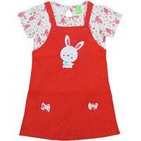 Clothe Funn New Born Knee Length Baby Girl Dress (PeachRed 6-9 Months)
