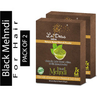 LaDecus INDIA Natural Herbal Organic Mehendi Powder for Hair with Medicinal Herbs (Black) - Pack of 2