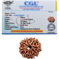 10 Mukhi Rudraksha Original Certified Bead - Natural Nepali 10 Mukhi Rudraks for Meditation and Prayer, Protection, Chakra Balancing, Spiritual Growth and DIY Pooja Supplies