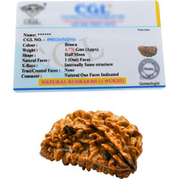 Crystal Heaven 1 Mukhi Rudraksha Original Certified Bead - Natural Nepali 1 Mukhi Rudraks For Meditation And Prayer, Protection, Chakra Balancing, Spiritual Growth And Diy Pooja Supplies