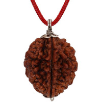 ASTRODIDI Brown 2 Mukhi Rudraksha Pendant Mantra Siddha Two Face Certified With Lab Report