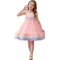 Niren Enterprise Fairy Tail Net Flared Sleeveless Ruffled Pattern Baby Girl Frock, Pack of 1 (Fairy Tail, 6-7Y) Pink