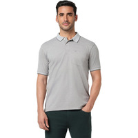 Peter England Men's Premium Branded Regular Fit Half Sleeve Polo T-Shirt with Pocket | Cotton Rich | Birds Eye Interlock Weave Light Grey