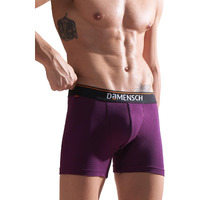 DAMENSCH Deo-Cotton Men's Anti-Bacterial Moisture-Free Cotton Solid Trunks-Violet View-Pack of 1-Small