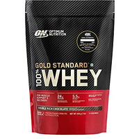 Optimum Nutrition (ON) Gold Standard 100% Whey Protein Powder - 1 lb (Double Rich Chocolate), Primary Source Isolate