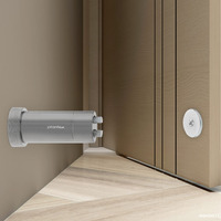 Plantex Stainless Steel Wall-Mounted Magnetic Door Stopper/Door Catcher for Wooden Door - Pack of 1 (Matt)