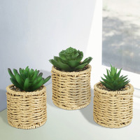 Anko Set of 3 Artificial Mini Succulent Plants with Rattan Look Pots | Decorative Artificial Plant for Home, Office, Bedroom, Balcony, Living Room | Natural Look Artificial Plant for Home Dcor