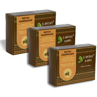 Earthy Sapo Reetha Shampoo Bar for Dry Hair (100g, Pack of 3) | Handmade Ayurvedic Hair Care | Vegan, Chemical-Free, Eco-Friendly | Reetha & Coconut Milk for Nourished Hair