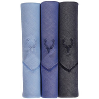 Allen Solly Men's Cotton Handkerchief (AHW16365E_Multi_One Size)