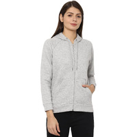 Allen Solly Women's Synthetic Hooded Neck Regular Sweatshirt (AHSTWRGF074068_Light Grey_Small_Light Grey_S)