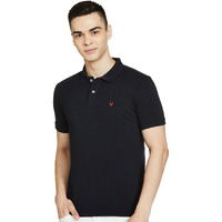 Allen Solly Men Navy Regular Fit Polo(AMKP317G04251_Navy_2XL)