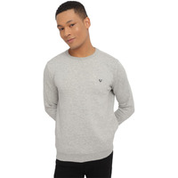 Allen Solly Men Casual Cotton Round Neck Regular Sweatshirt (Asstorgpn40121_Grey Melange_Xl)