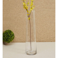 TIED RIBBONS Glass Round Vase For Flowers And Plants Living Room Home Dcor Table Centerpiece Wall Shelf Home Decoration (8 X 29 Cm, Clear Without Flowers, Clear)