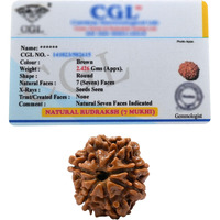 Crystal Heaven 7 Mukhi Rudraksha Original Certified Bead - Natural Nepali 7 Mukhi Rudraks For Meditation And Prayer, Protection, Chakra Balancing, Spiritual Growth And Diy Pooja Supplies