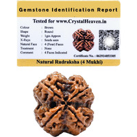 Crystal Heaven 4 Mukhi Rudraksha Original Certified Bead - Natural Nepali 4 Mukhi Rudraks For Meditation And Prayer, Chakra Balancing, Spiritual Growth And Diy Pooja Supplies