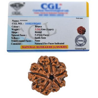 Crystal Heaven 5 Mukhi Rudraksha Original Certified Bead - Natural Nepali 5 Mukhi Rudraks For Meditation And Prayer, Protection, Chakra Balancing, Spiritual Growth And Diy Pooja Supplies