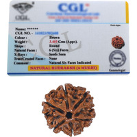 Crystal Heaven 6 Mukhi Rudraksha Original Certified Bead - Natural Nepali 6 Mukhi Rudraks For Meditation And Prayer, Protection, Chakra Balancing, Spiritual Growth And Diy Pooja Supplies