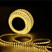 Errol LED Strip Rope Light for Indoor,Outdoor,Decorative,Diwali,Christmas,Festival,Cove,False Ceiling,Balcony,Entrance,Pillar with Direct Plug-in Adapter.(4 Meter, Warm White)