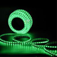 Errol LED Strip Rope Light for Indoor,Outdoor,Decorative,Diwali,Christmas,Festival,Cove,False Ceiling,Balcony,Entrance,Pillar with Direct Plug-in Adapter.(45 Meter, Green)