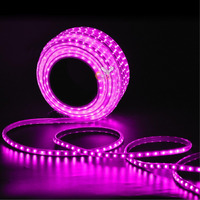 Errol LED Strip Rope Light for Indoor,Outdoor,Decorative,Diwali,Christmas,Festival,Cove,False Ceiling,Balcony,Entrance,Pillar with Direct Plug-in Adapter.(25 Meter, Pink)