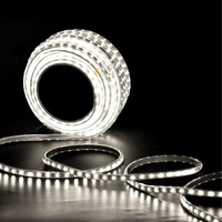 Errol LED Strip Rope Light for Indoor,Outdoor,Decorative,Diwali,Christmas,Festival,Cove,False Ceiling,Balcony,Entrance,Pillar with Direct Plug-in Adapter.(40 Meter, White)