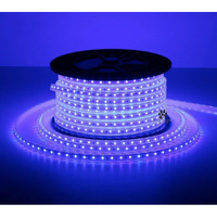 Mufasa LED Rope Light Indoor Outdoor Strip Home Decoration Lights, Diwali Festival Lights False Ceiling, Balcony 220V AC (Non Adhesive Back) (Blue, 2 Meter)