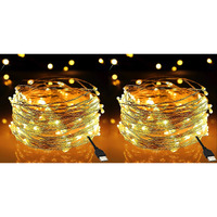 Groeien Pack of 2 Copper 5 Meter Fairy String Lights with USB Powered Led Light for DIY, Decor, Diwali, Christmas