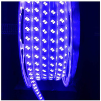 Mufasa Dual Row LED Rope Light Indoor Outdoor Strip Home Decoration Lights, Diwali Festival Lights False Ceiling, Balcony 220V AC (Non Adhesive Back) (Blue, 2 Meter)
