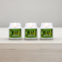 HOSLEY Fresh Bamboo Fragrance Jar Candle Pack of 3 (2.65 Oz Wax)|Fragrance Candles for Home|Scented Candles|Jar Candles|Burn Time 15 Hours|Fragrance Candle|Home Decoration (Soy Blend Wax)