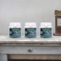 HOSLEY Eucalyptus Mint Fragrance Jar Candle Pack of 3 (2.65 Oz Wax)|Fragrance Candles for Home|Scented Candles|Jar Candles|Burn Time 15 Hours|Fragrance Candle|Home Decoration (Soy Blend Wax)