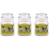 HOSLEY Sweet Pea Jasmine Fragrance Jar Candle Pack of 3 (2.65 Oz Wax)|Fragrance Candles for Home|Scented Candles|Jar Candles|Burn Time 15 Hours|Fragrance Candle|Home Decoration (Soy Blend Wax)