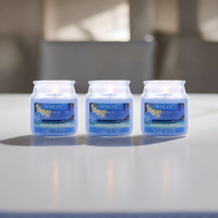 HOSLEY Caribbean Breeze Fragrance Jar Candle Pack of 3 (2.65 Oz Wax)|Fragrance Candles for Home|Scented Candles|Jar Candles|Burn Time 15 Hours|Fragrance Candle|Home Decoration (Soy Blend Wax)