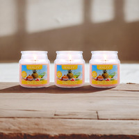 HOSLEY Tropical Mist Fragrance Jar Candle Pack of 3 (2.65 Oz Wax)|Fragrance Candles for Home|Scented Candles|Jar Candles|Burn Time 15 Hours|Fragrance Candle|Gift Set|Home Decoration (Soy Blend Wax)